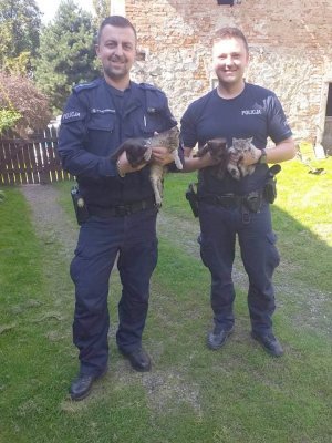 policjanci którzy uratowali kotki
