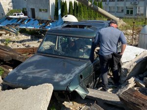 szkolenia służ i przewodników psów służbowych