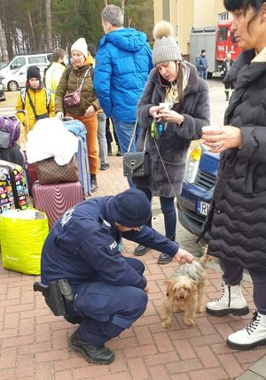 Policjanci pomagają uchodźcą na granicy