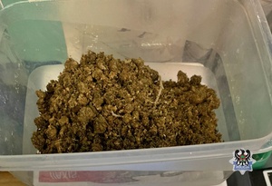 marihuana w plastikowym pojemniku