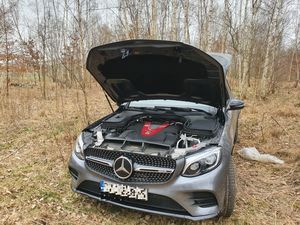 odzyskany mercedes stojacy w lesie
