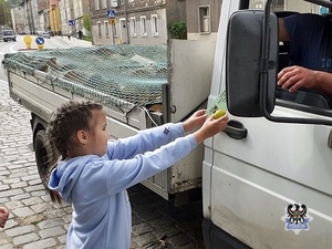 +policjanci wspólnie z dziećmi kontrolują kierujących pojazdami, wręczają albo cytrynę albo jabłko i przygotowane laurki