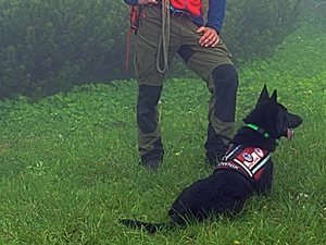 ćwiczenia przewodników psów w tatrach przy użyciu helikoptera