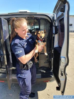 Zdjęcia przedstawiają umundurowaną funkcjonariuszkę Policji, która trzyma w rękach psy