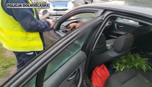 zabezpieczone auto z marihuaną i pijanym kierowcą
