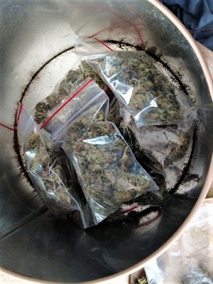 Marihuana w woreczkach foliowych