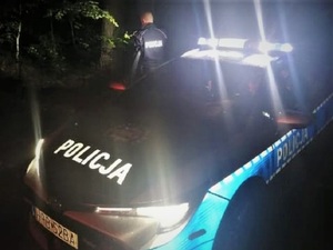 na zdjęciu w nocy stojący radiowóz na światłach, obok stojący policjant, w tle krzewy