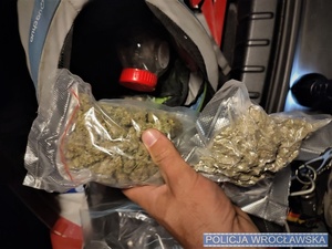 Dłoń trzymająca worek z marihuaną