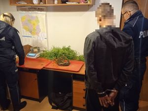Policjantka waży zabezpieczoną marihuanę, obok stoi policjant z zatrzymanym mężczyzną
