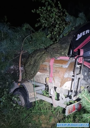 Zdjęcia przedstawiają skradzioną motorówkę ukrytą w lesie