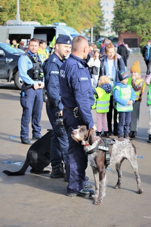 Uczestnicy policyjnego festynu w Zgorzelcu