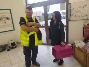 uratowana przez policjantów dzika kaczka