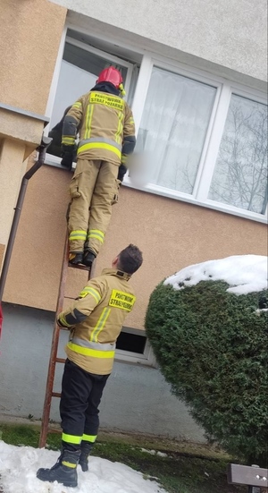 Strażacy wchodzą po drabinie do mieszkania