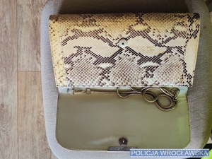 Otwarta torebka ze skóry węża