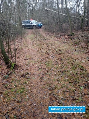 Patrol saperski w terenie leśnym