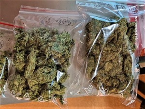 Na zdjęciu susz marihuany w woreczkach.