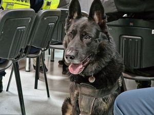 działania policjantów podczas akcji policyjnej