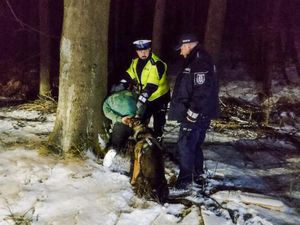 Na zdjęciu dwaj policjanci i pies policyjny zatrzymują w lesie poszukiwanego.