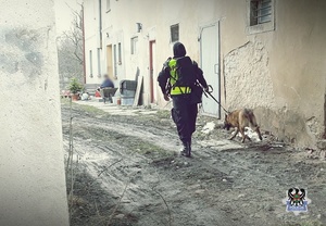 Na zdjęciu policjant i pies policyjny idący brzegiem starego budynku.