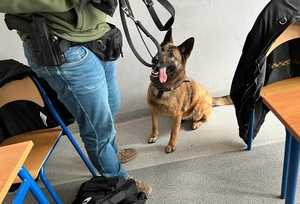 pies policyjny podczas zajęć w szkole