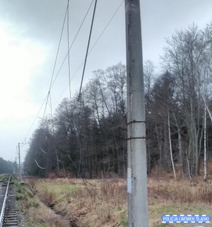 Na zdjęciu tory kolejowe z trakcją kolejową.
