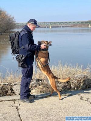Na zdjęciu pies policyjny z policjantem.