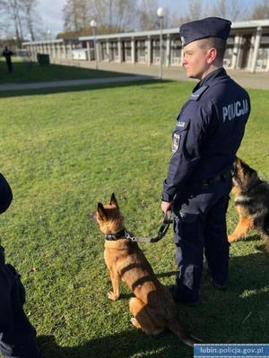 Na zdjęciu policjant z dwoma psami policyjnymi.