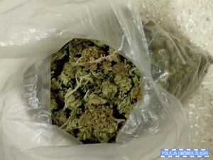 Na zdjęciu susz marihuana w woreczku.