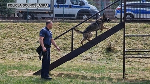 Policjant i jego pies służbowy podczas zawodów