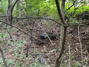Czarny worek w środku lasu.