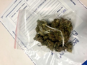 narkotyki w formie suszu marihuany w woreczku