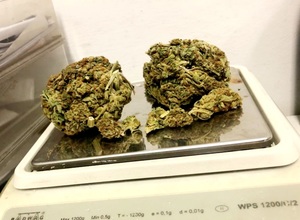 narkotyki w formie suszu marihuany w woreczku