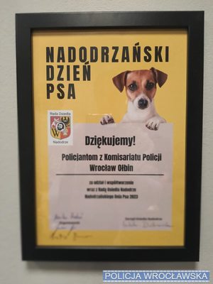 policjantki podczas pikniku dotyczącego dnia psa