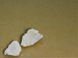 Narkotyki - dwa kawałki białej substancji