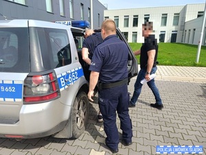 Policjanci wprowadzają zatrzymanego do radiowozu.