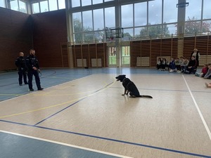 Dwaj policjanci z psem  na sali gimnastycznej pokazują dzieciom jak pies reaguje na polecenia