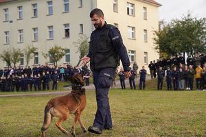 policjant z psem na murawie