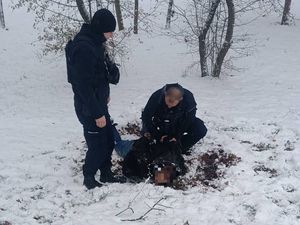 policjanci i inna osoba