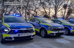 Radiowozy stojące w rzędzie