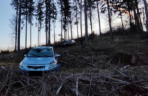 Samochód osobowy w jasnym kolorze w lesie