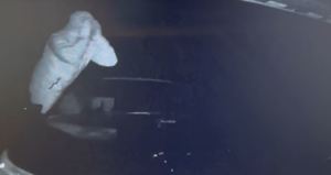 Zdjęcie z kamery przedstawiające jak mężczyzna w samochodzie osobowym pomaga w kradzieży mężczyźnie znajdującym się  w naczepie samochodu ciężarowego jadącego przed osobowym