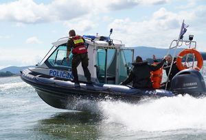 Ćwiczenia i festyn z udziałem policji, wojska i służb ratunkowych