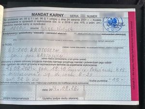 mandat karny wystawiony na 100 złotych