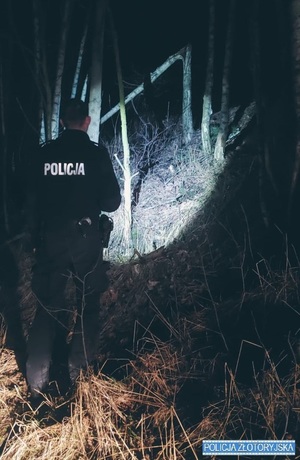 policjant nocą świeci latarką w lesie