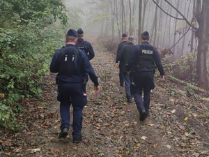 policjanci idą lasem