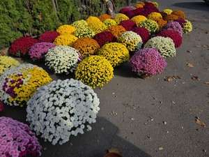 bukiety kwiatów nagrobnych