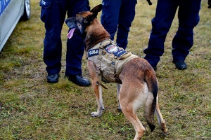 Zdjęcia z wizyty uczniów u dolnośląskich policjantów