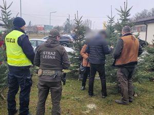 policjant i strażnik leśny kontrolują punkty sprzedaży choinek