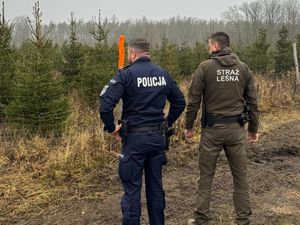 policjant i strażnik leśny kontrolują punkty sprzedaży choinek