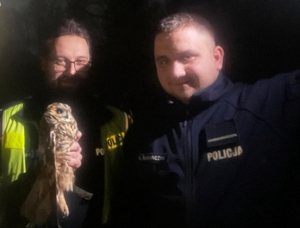 policjanci z sową